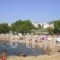 Terpsichore Apartments_holidays_in_Apartment_Thessaly_Magnesia_Pilio Area