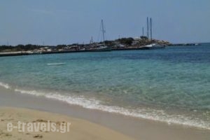 Litsa Studios_best prices_in_Hotel_Cyclades Islands_Naxos_Naxos chora