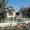 Mylos Studios_lowest prices_in_Hotel_Sporades Islands_Skiathos_Skiathoshora