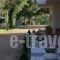 Olga Rooms_best prices_in_Room_Epirus_Preveza_Mytikas