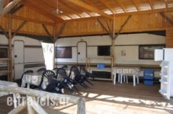 Camping Tsitreli_s __1