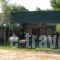 Camping Tsitreli_holidays_in_Hotel_Macedonia_Halkidiki_Toroni