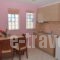 Elia Studios_holidays_in_Hotel_Aegean Islands_Thasos_Thasos Chora