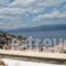 KK Houses_travel_packages_in_PiraeusIslands - Trizonia_Hydra_Hydra Chora