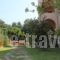 Emily'S Apartments_best prices_in_Apartment_Ionian Islands_Corfu_Kassiopi