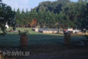 Villa Georgina B&B_travel_packages_in_Peloponesse_Ilia_Pyrgos