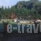 Villa Georgina B&B_travel_packages_in_Peloponesse_Ilia_Pyrgos