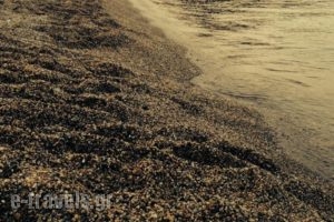 Akti Nefeli_travel_packages_in_Peloponesse_Lakonia_Monemvasia