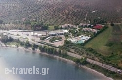 Levendi Hotel_s __1