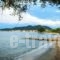 Villa Teresa_holidays_in_Villa_Aegean Islands_Thasos_Thasos Chora