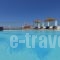 Margie Mykonos Tel_accommodation_in_Hotel_Cyclades Islands_Mykonos_Mykonos ora