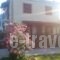 Mr. Greek Villa_best deals_Villa_Aegean Islands_Lesvos_Petra