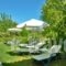 Lemonia Accommodations_best prices_in_Hotel_Ionian Islands_Zakinthos_Laganas