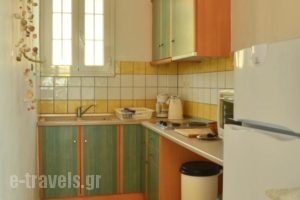 Lemonia Accommodations_holidays_in_Hotel_Ionian Islands_Zakinthos_Laganas