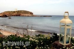 Thomais House in Naxos Chora, Naxos, Cyclades Islands