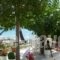 Heras Garden_accommodation_in_Hotel_Ionian Islands_Kefalonia_Kefalonia'st Areas