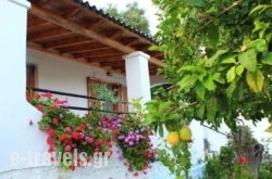 Ulisse Apartments_s __1