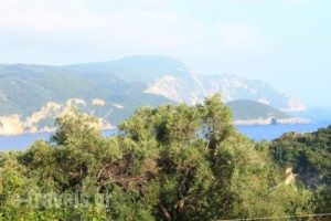 Ulisse Apartments_best prices_in_Apartment_Ionian Islands_Corfu_Palaeokastritsa