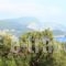 Ulisse Apartments_best prices_in_Apartment_Ionian Islands_Corfu_Palaeokastritsa