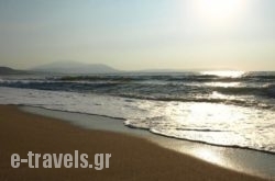Dionysos_s __1