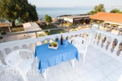 Papidakis Studios_s __1