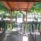 Villa Maria_travel_packages_in_Macedonia_Kavala_Ofrynio