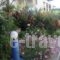 Kolymbari Beach_best deals_Hotel_Crete_Chania_Kolympari