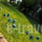 Sunrise Sarelas_holidays_in_Hotel_Thessaly_Magnesia_Pilio Area