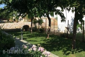 Eleana Studios_best prices_in_Hotel_Sporades Islands_Skyros_Skyros Rest Areas