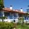 Bungalows Lemoni_accommodation_in_Hotel_Ionian Islands_Lefkada_Lefkada Rest Areas