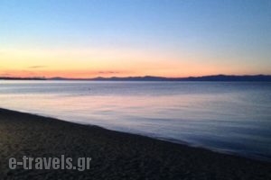 Nefeli Apartments_lowest prices_in_Apartment_Macedonia_Halkidiki_Polychrono