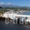 Manos Apartments_lowest prices_in_Apartment_Crete_Chania_Almyrida