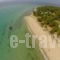 Kazaviti Hotel & Apartments_lowest prices_in_Apartment_Aegean Islands_Thasos_Thasos Chora