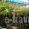 Alexandra Sofia_holidays_in_Hotel_Sporades Islands_Skopelos_Skopelos Chora