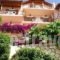 Studio Rolous_accommodation_in_Hotel_Ionian Islands_Lefkada_Lefkada Rest Areas
