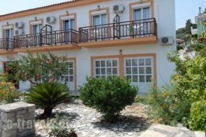 Dina Pension_accommodation_in_Hotel_Aegean Islands_Samos_Samosst Areas