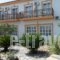 Dina Pension_accommodation_in_Hotel_Aegean Islands_Samos_Samosst Areas