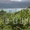 Gialos_best prices_in_Hotel_Ionian Islands_Lefkada_Lefkada's t Areas