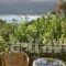 Gialos_lowest prices_in_Hotel_Ionian Islands_Lefkada_Lefkada's t Areas