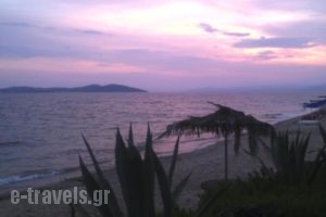 Agrelia House_best prices_in_Hotel_Macedonia_Halkidiki_Ierissos