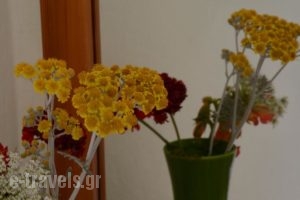 Galaxy Hotel_travel_packages_in_Cyclades Islands_Andros_Gavrio