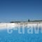 Villa Pandora - Angela & Michali_travel_packages_in_Crete_Chania_Platanias