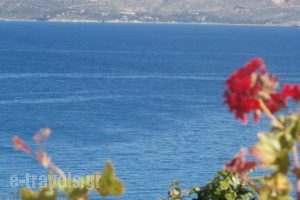 Manos Apartments_best deals_Apartment_Crete_Chania_Almyrida
