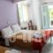 Xristina Studios_accommodation_in_Hotel_Ionian Islands_Lefkada_Vasiliki