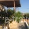 San Giorgio_best deals_Hotel_Cyclades Islands_Antiparos_Antiparos Rest Areas