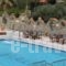 Evalia Apartments_lowest prices_in_Apartment_Crete_Heraklion_Chersonisos