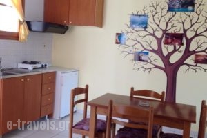Asteras Studios_travel_packages_in_Ionian Islands_Kefalonia_Argostoli