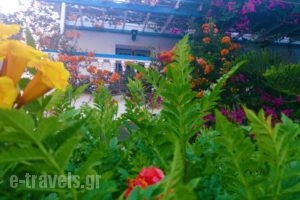 Angelika_best deals_Hotel_Dodekanessos Islands_Leros_Leros Rest Areas