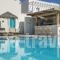 Nissia Apartments_best deals_Apartment_Cyclades Islands_Sandorini_Perissa