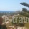 Asteras Apartments_best prices_in_Apartment_Crete_Lasithi_Sitia